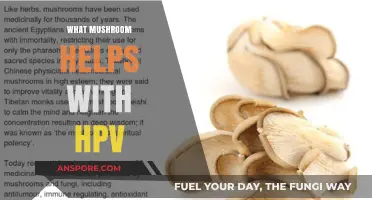 Mushroom Magic: HPV's Natural Remedy