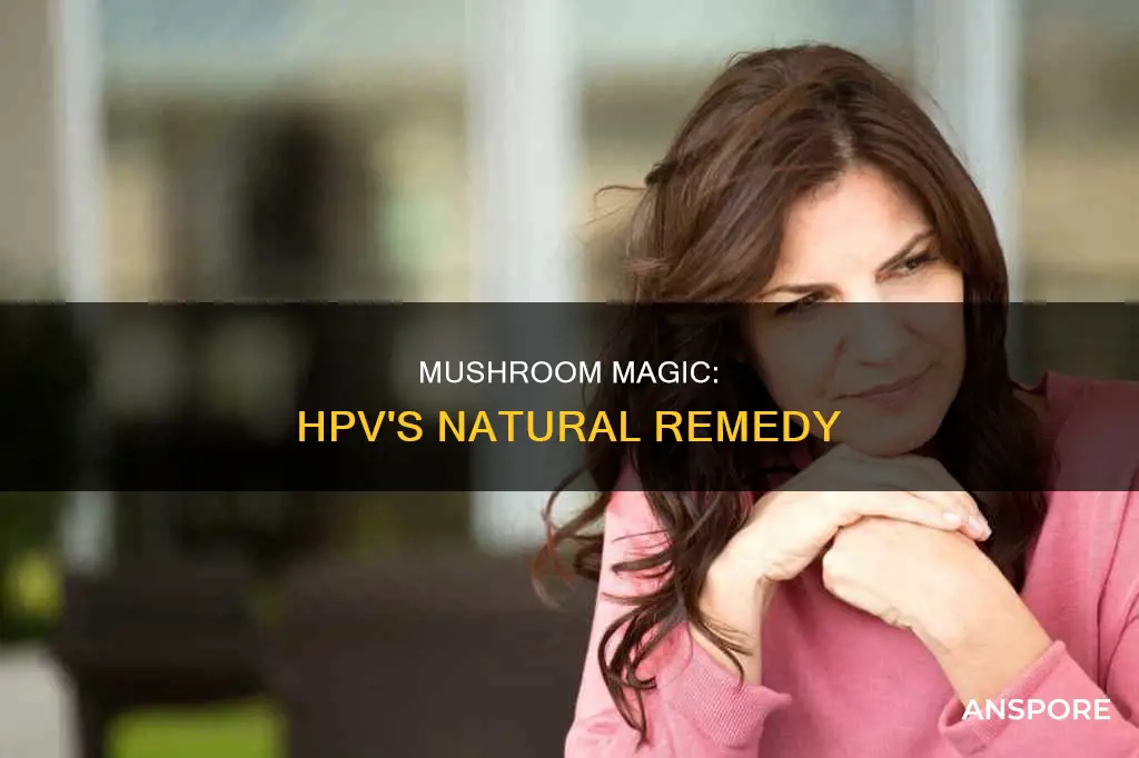 what mushroom helps with hpv