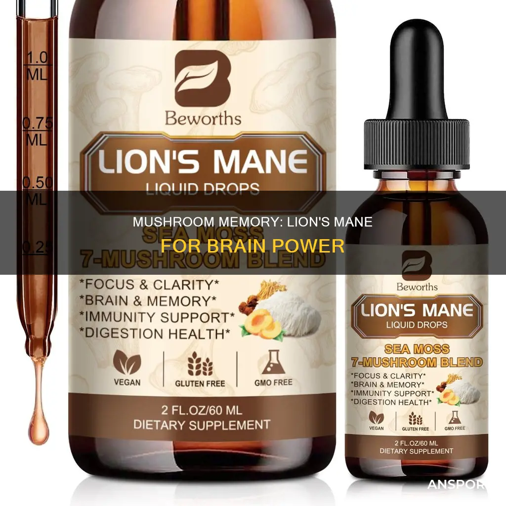 what mushroom helps with memory