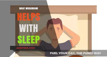 Mushrooms for Sleep: Which Varieties Help?