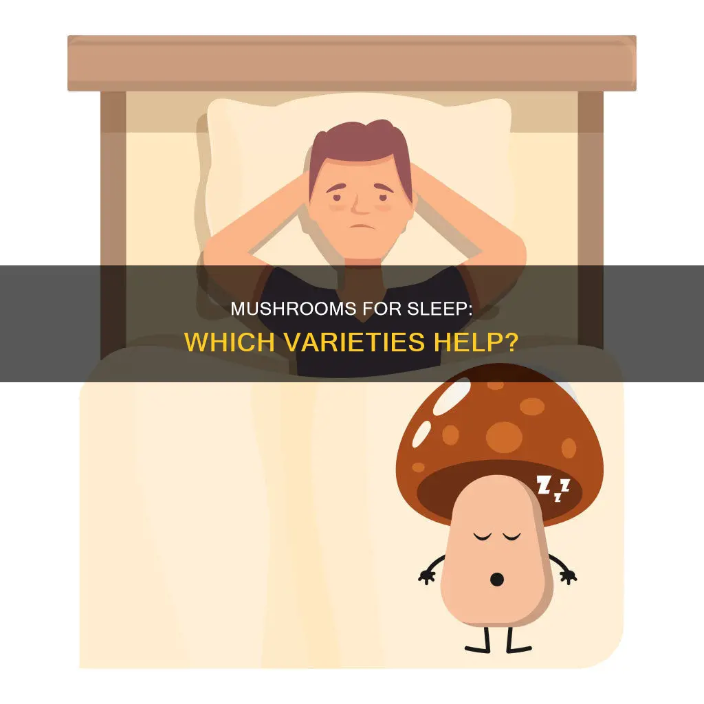 what mushroom helps with sleep