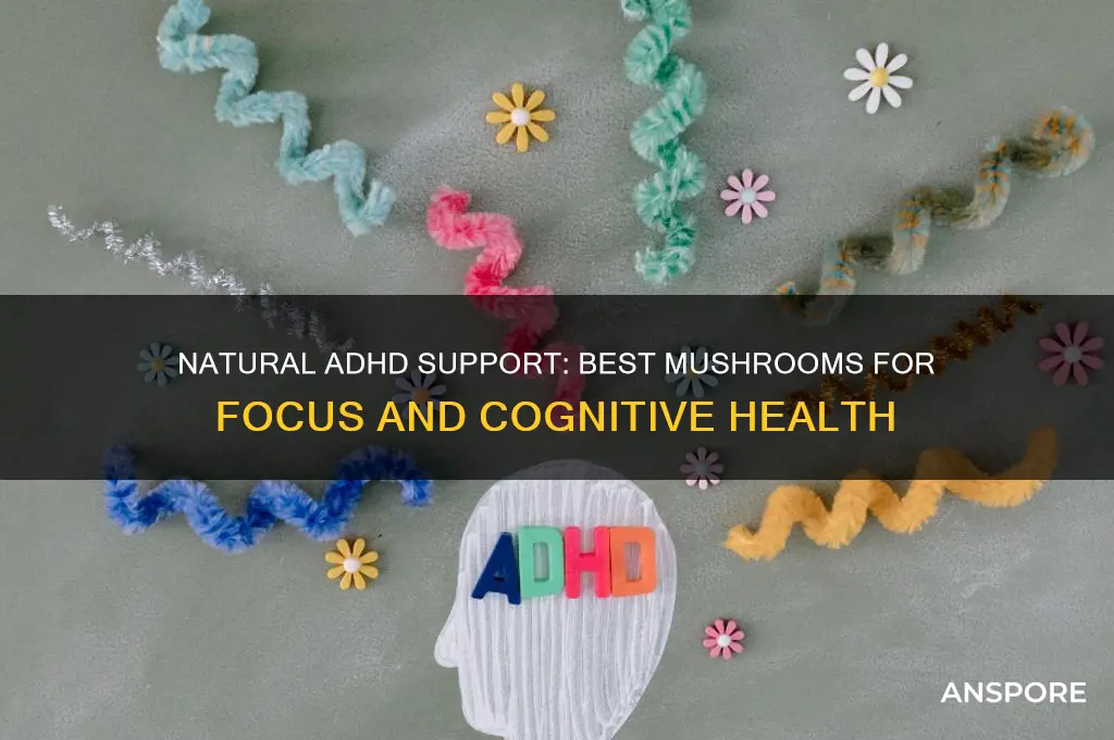 what mushroom is good for adhd