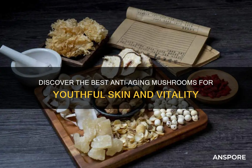 what mushroom is good for anti aging