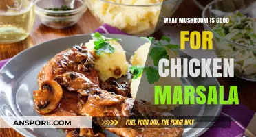 Best Mushrooms for Chicken Marsala: A Flavorful Guide to Perfect Pairings