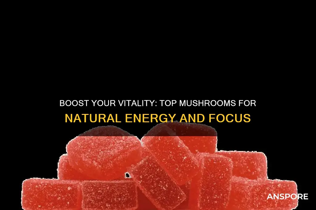 what mushroom is good for energy