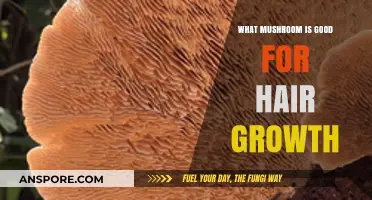 Boost Hair Growth Naturally: Top Mushrooms for Healthy, Strong Hair