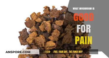 Natural Pain Relief: Discover the Best Mushrooms for Soothing Discomfort