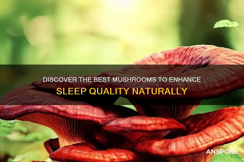 what mushroom is good for sleep