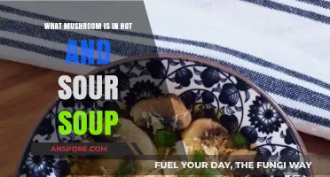 Discover the Secret Mushroom in Hot and Sour Soup