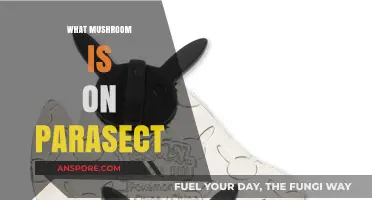 Mushroom Mystery: Parasect's Fungal Friend