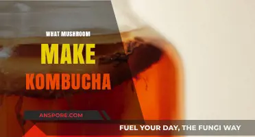 Mushroom-Free Kombucha: Unveiling the Fermentation Secrets Behind the Brew