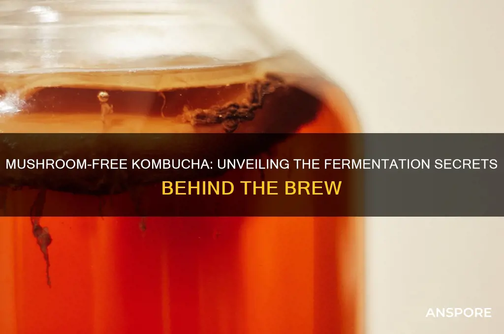 what mushroom make kombucha