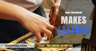 Discover the Mushroom That's Revolutionizing Sustainable Leather Production