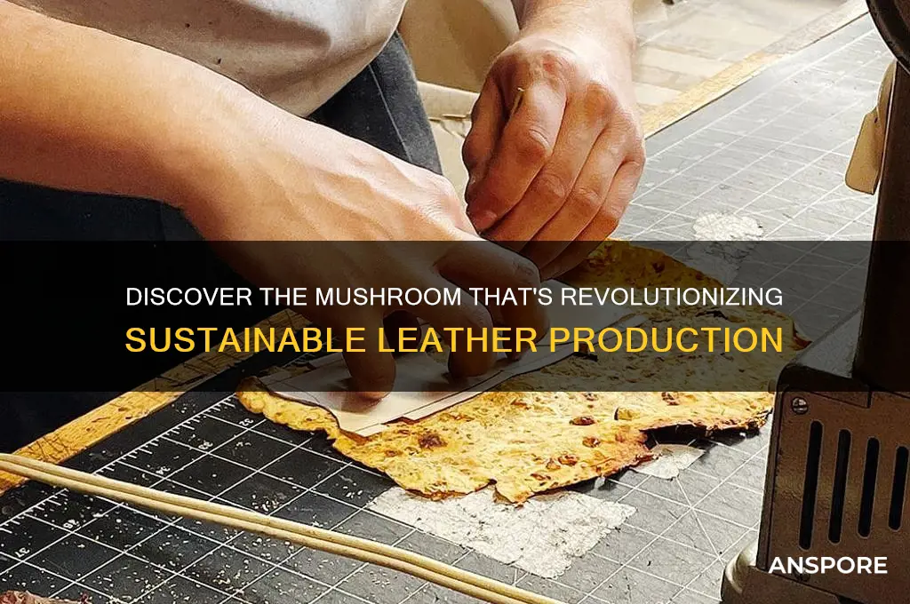 what mushroom makes leather