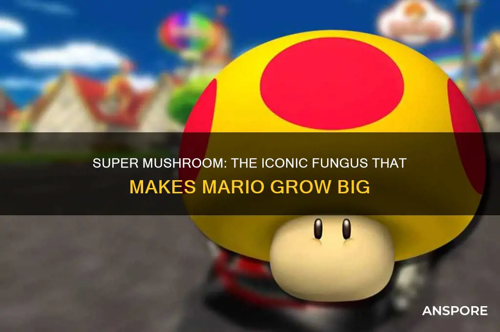 what mushroom makes mario big