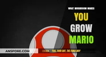 Discover the Magical Mushroom That Powers Up Mario's Growth