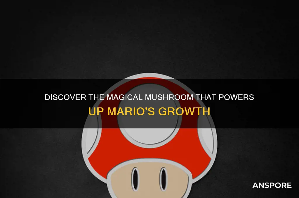 what mushroom makes you grow mario