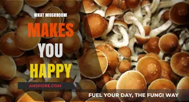 Discover the Joy-Inducing Mushroom: Nature's Secret to Happiness