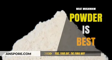 Mushroom Powder: Which Superfood is the Best?