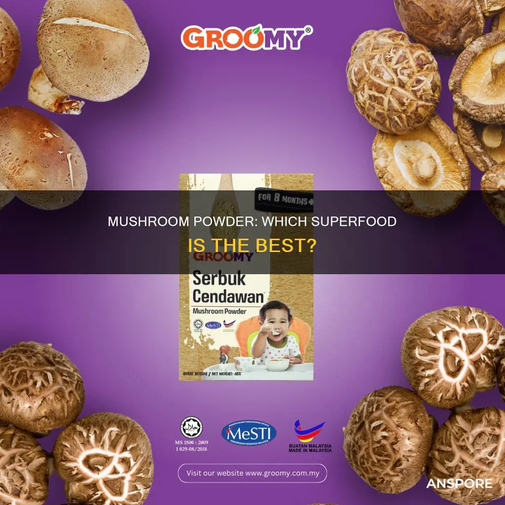 what mushroom powder is best