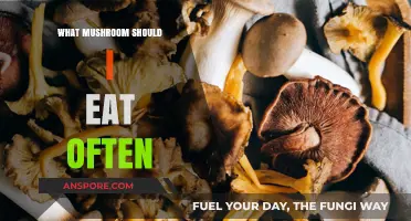 Boost Your Health: Top Mushrooms to Eat Regularly for Wellness