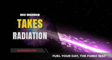 Mushroom Superpowers: Radiation Absorption