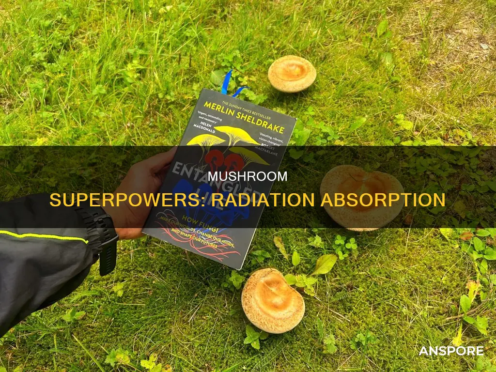 what mushroom takes radiation
