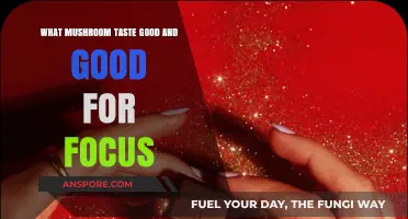 Boost Focus with Delicious Mushrooms: Top Picks for Flavor and Clarity