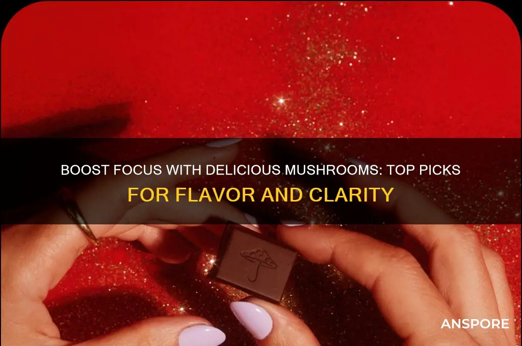 what mushroom taste good and good for focus