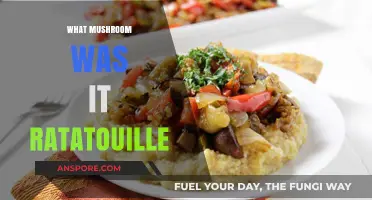 Identifying the Mushroom from Ratatouille