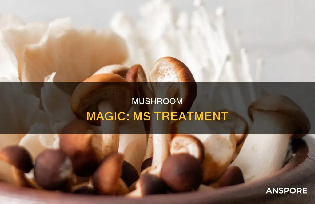 what mushroom will help ms