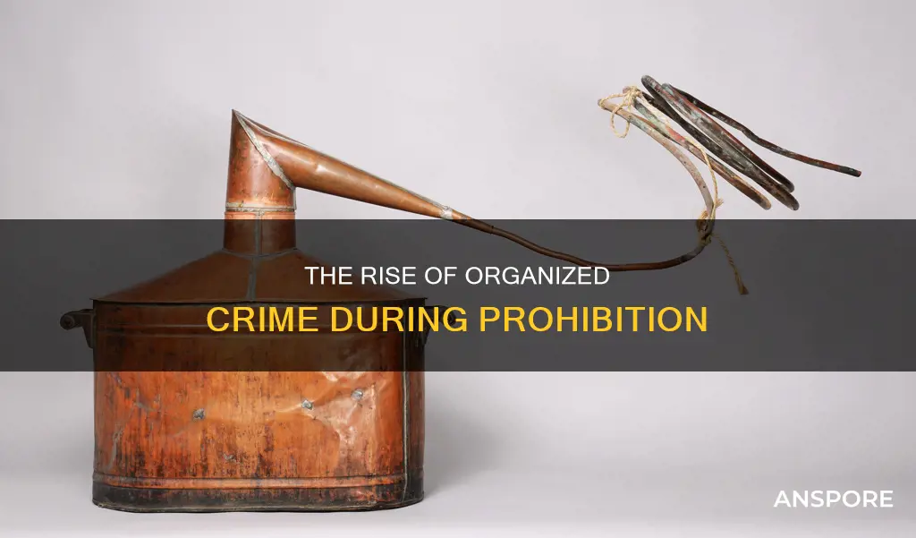 what mushroomed during prohibition