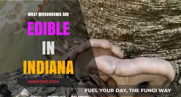 Indiana's Edible Mushrooms: A Guide to Safe Foraging in the Wild