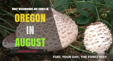 Oregon's August Edible Mushrooms: A Forager's Guide to Safe Finds