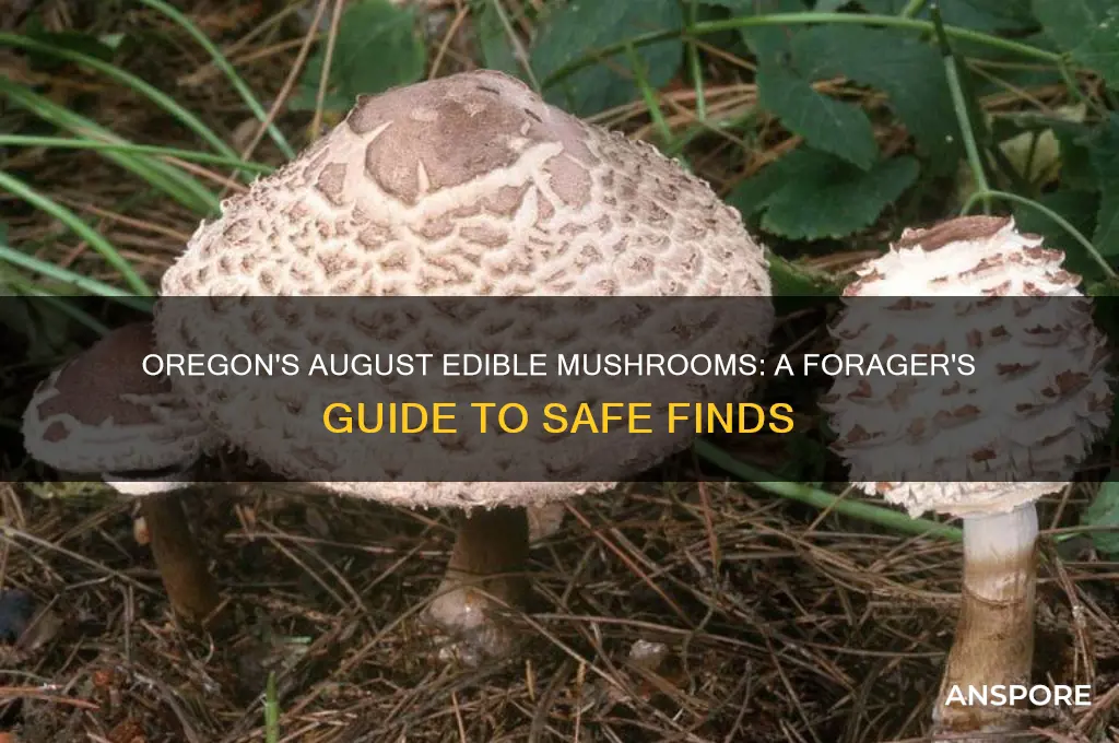 what mushrooms are edible in oregon in august