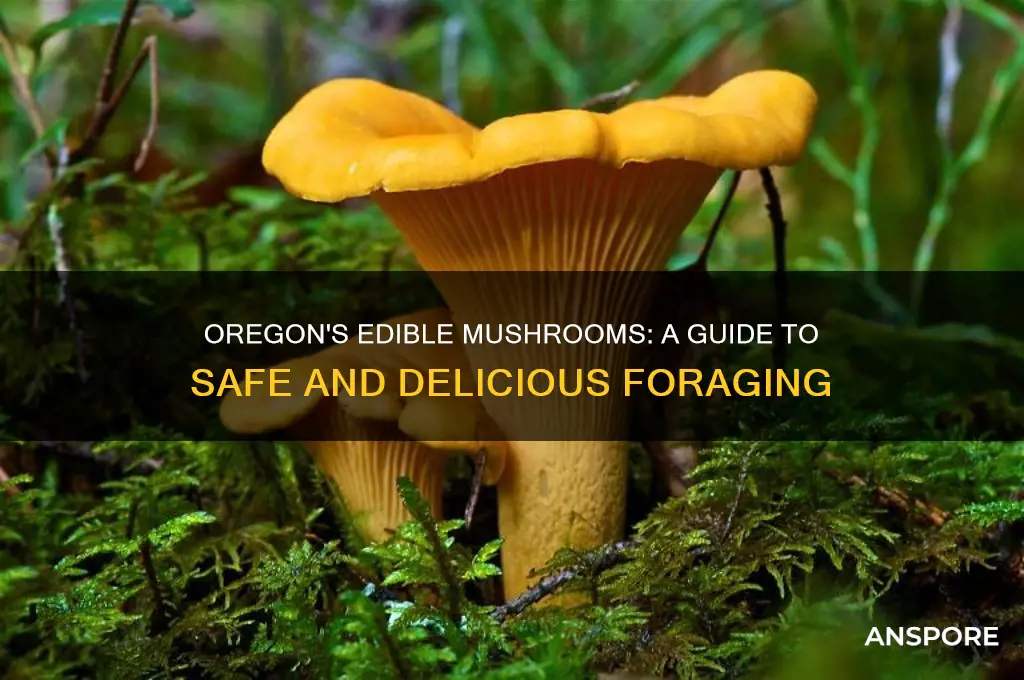 what mushrooms are edible in oregon
