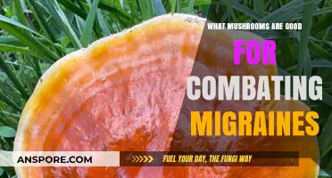 Natural Migraine Relief: Top Mushrooms to Ease Headache Symptoms