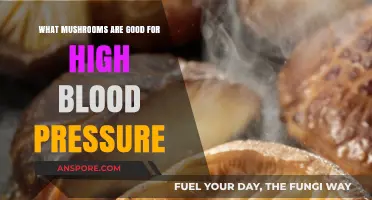Mushrooms for High Blood Pressure: Natural Remedies to Lower Hypertension