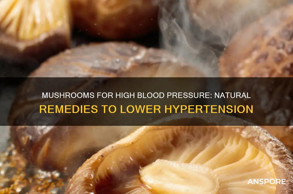 what mushrooms are good for high blood pressure