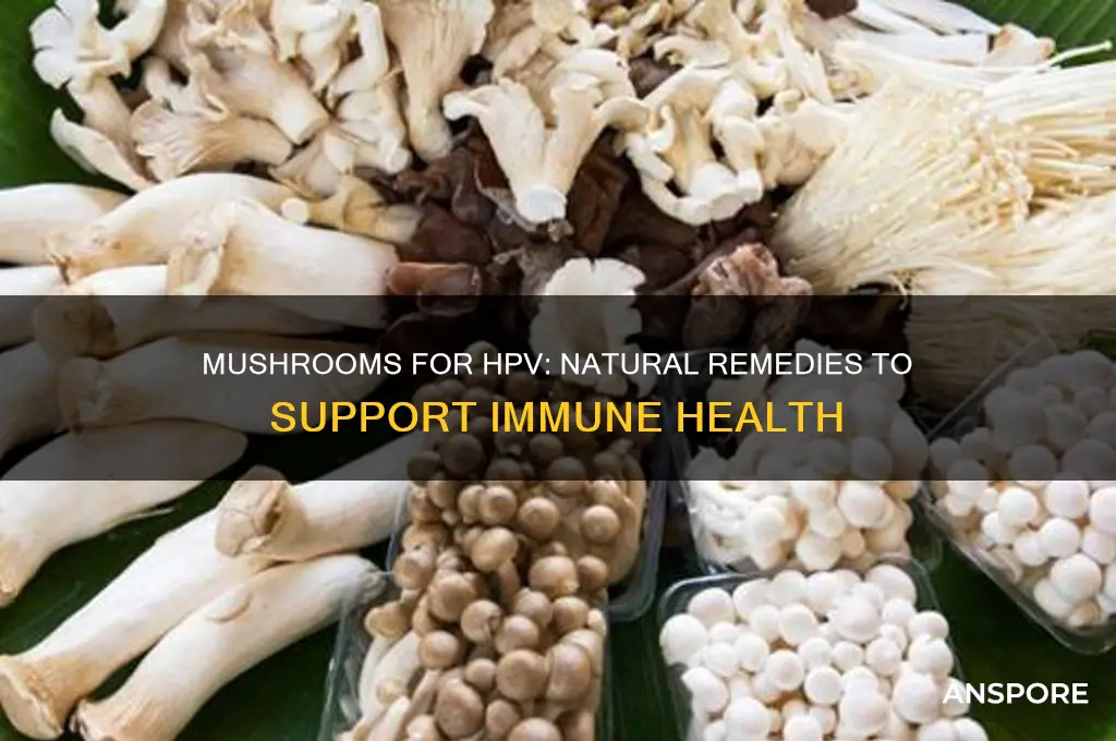 what mushrooms are good for hpv