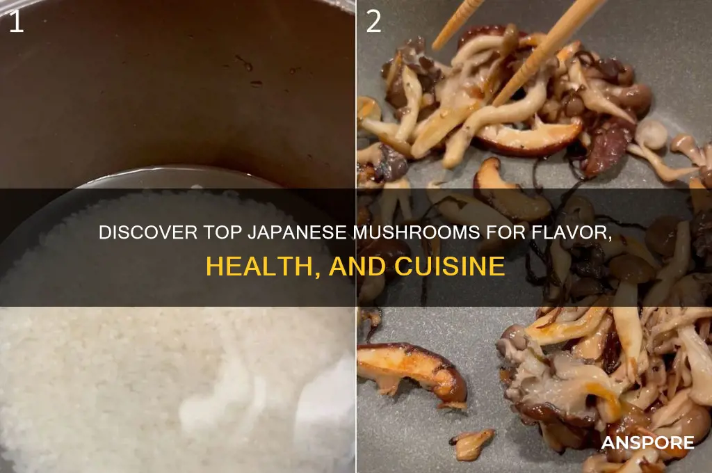 what mushrooms are good for japanese