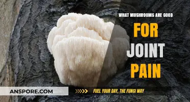 Natural Relief: Best Mushrooms to Ease Joint Pain and Inflammation