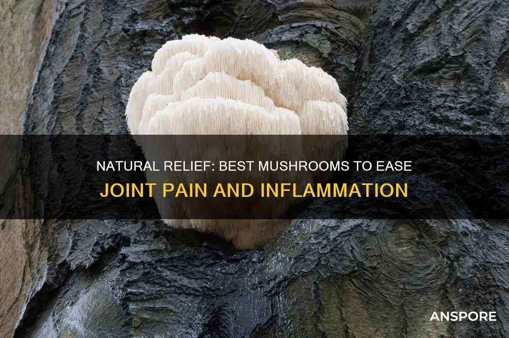 what mushrooms are good for joint pain