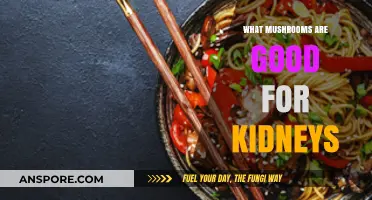 Mushrooms for Kidney Health: Top Varieties to Support Renal Function
