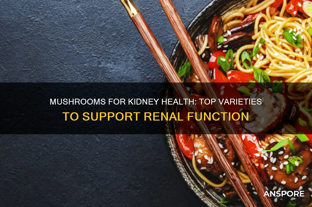 what mushrooms are good for kidneys