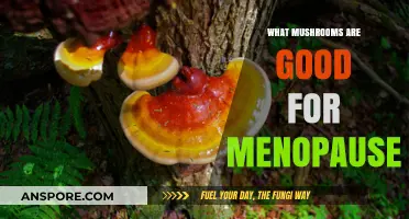 Mushrooms for Menopause Relief: Natural Remedies to Ease Symptoms