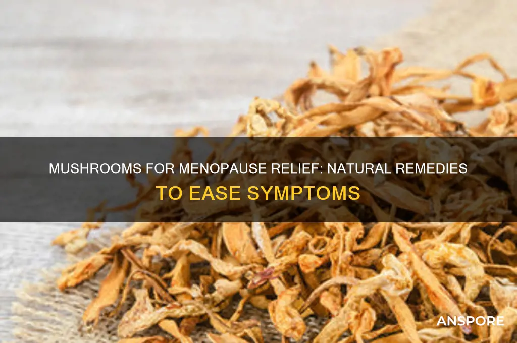 what mushrooms are good for menopause