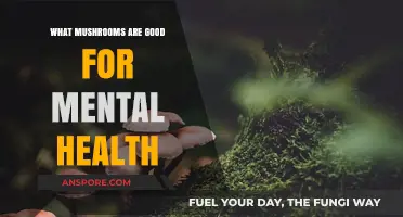 Boost Your Mood: Top Mushrooms for Mental Health Benefits