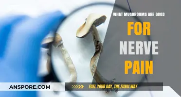 Natural Relief: Best Mushrooms for Soothing Nerve Pain Effectively