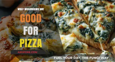 Best Mushroom Varieties to Elevate Your Pizza Toppings and Flavor